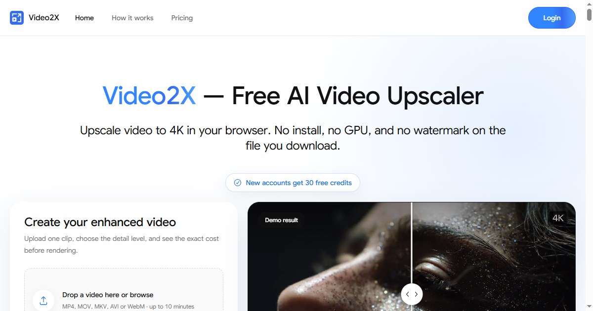 Video2X - Product Image 2