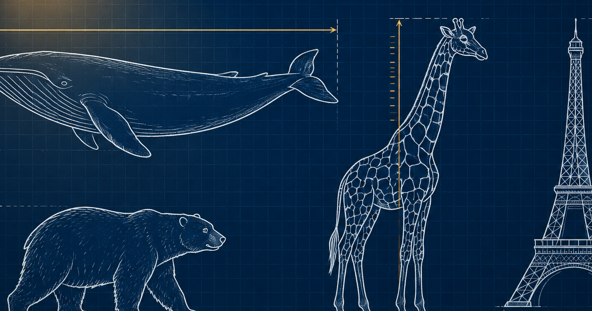 Size It Up Game Wiki - Product Image 1