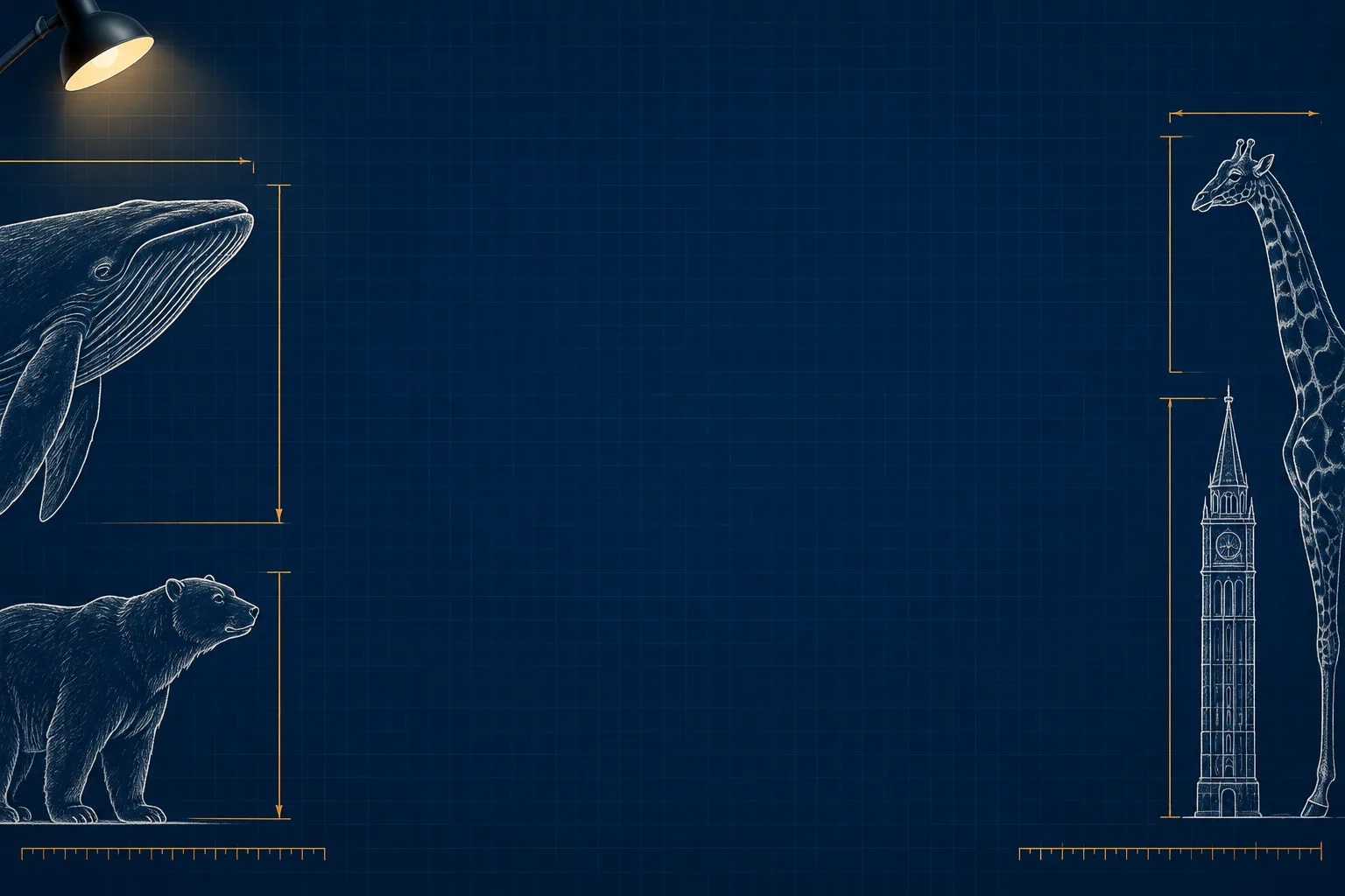 Size It Up Game Wiki - Product Image 2
